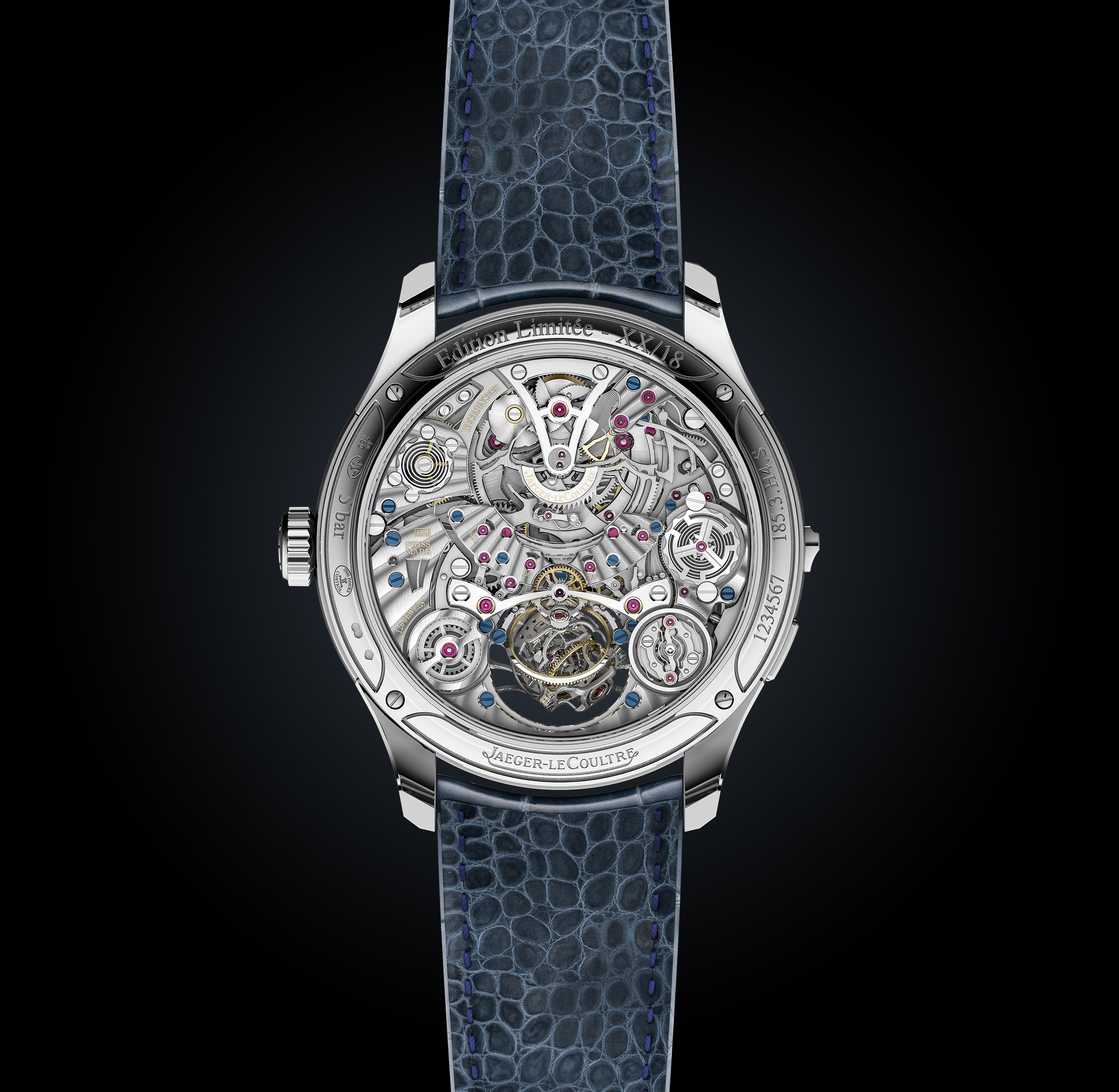 Master Grande Tradition Gyrotourbillon Westminster Perpétuel_Back.jpg