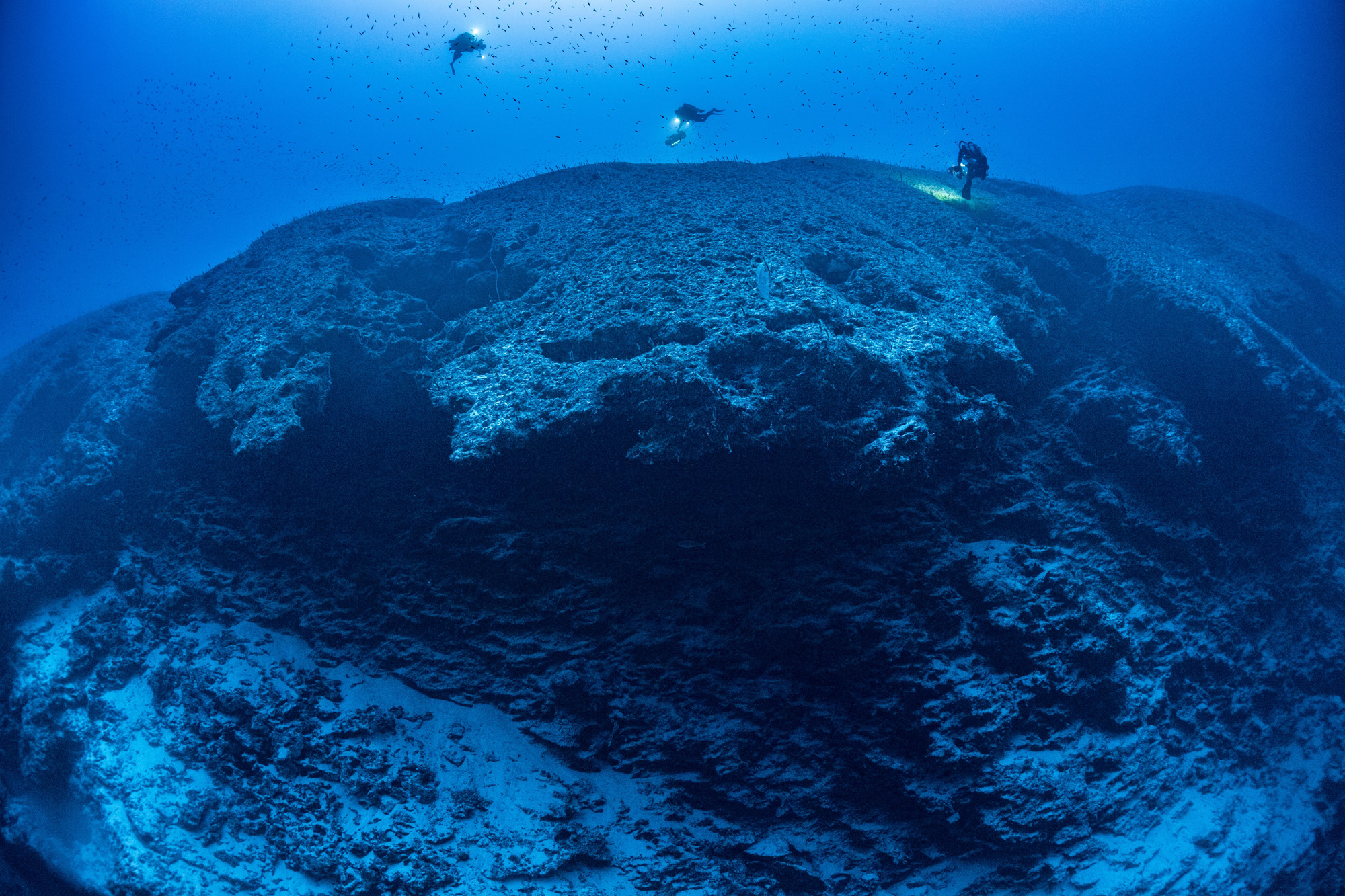 La PÇrouse- Deep cliff at 120m ∏ Laurent Ballesta.jpg
