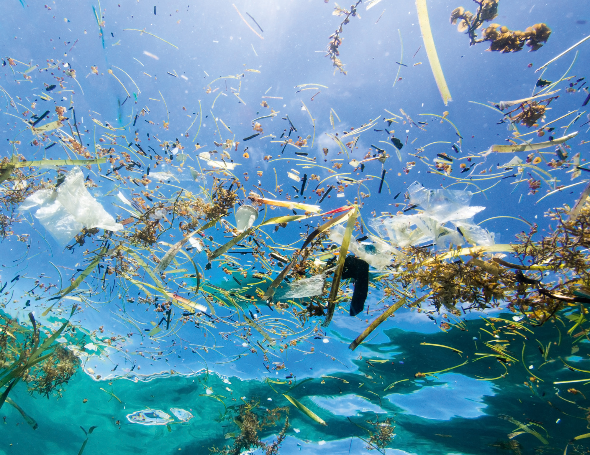 Ocean Credit Photo by Caroline Power_Original_9757.jpg