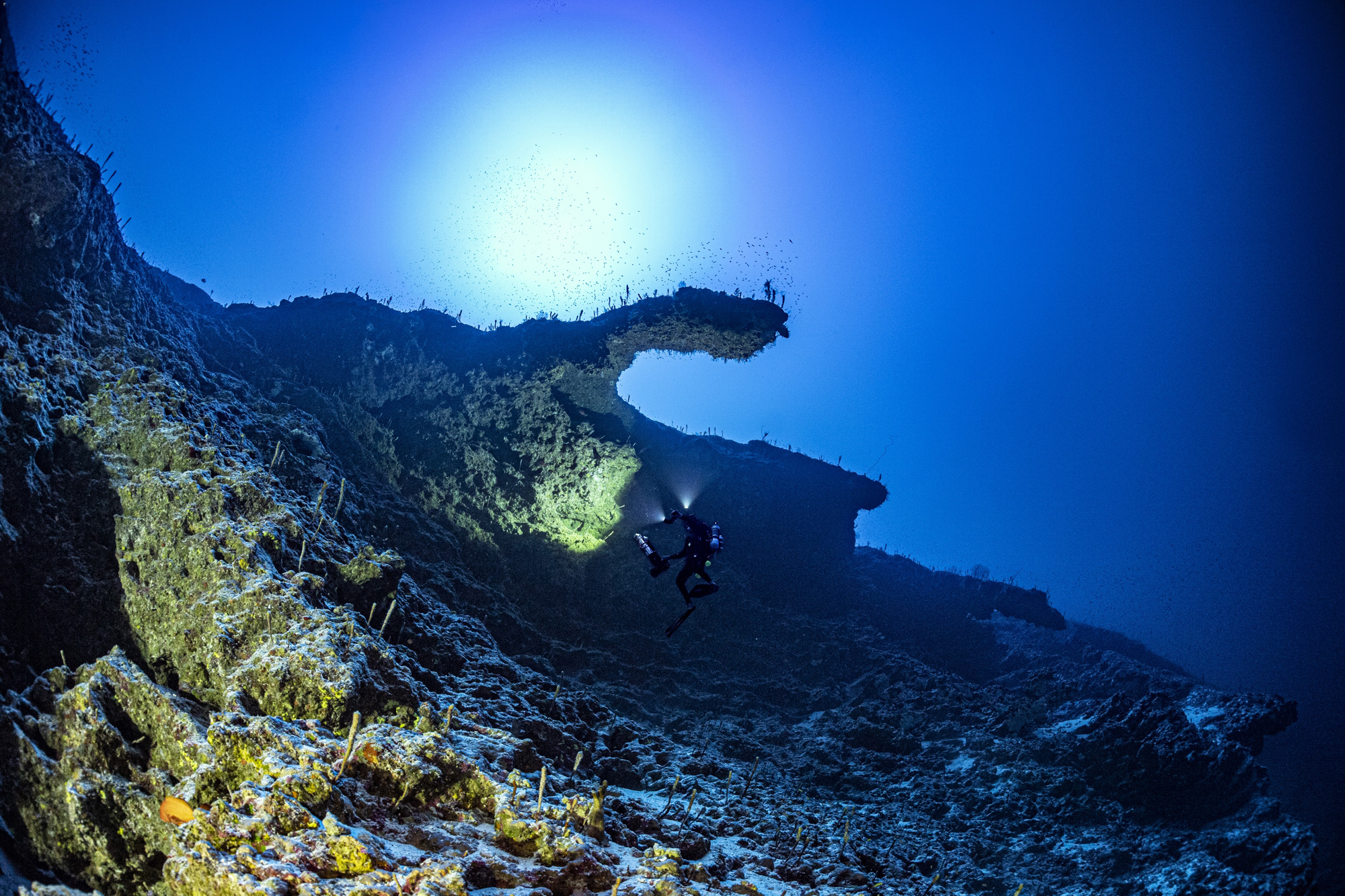 La PÇrouse - Deep cliffs ∏ Laurent Ballesta.jpg