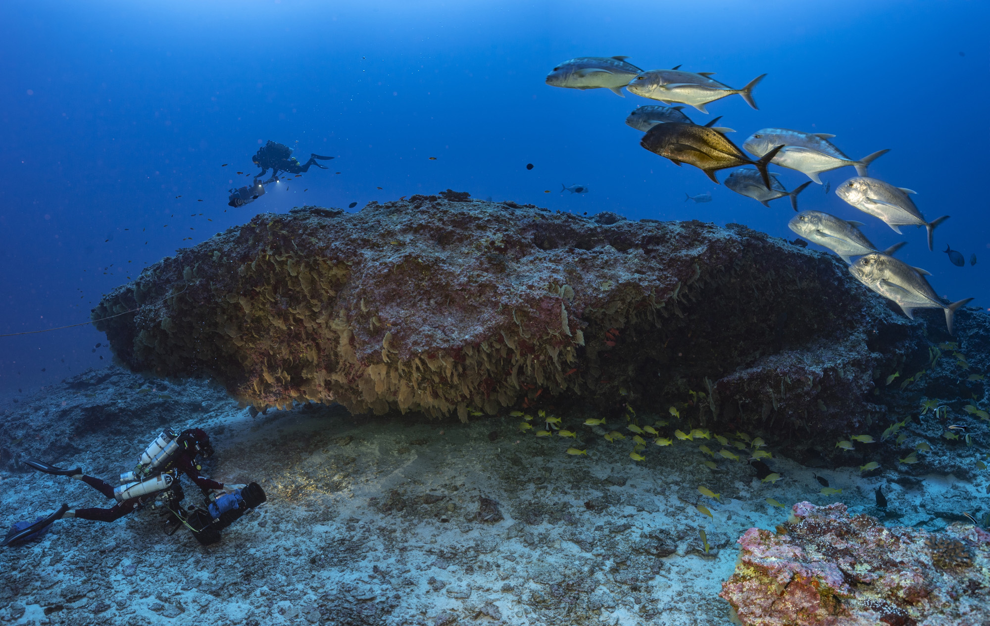 La PÇrouse - Underwater cave ∏ Laurent Ballesta.jpg