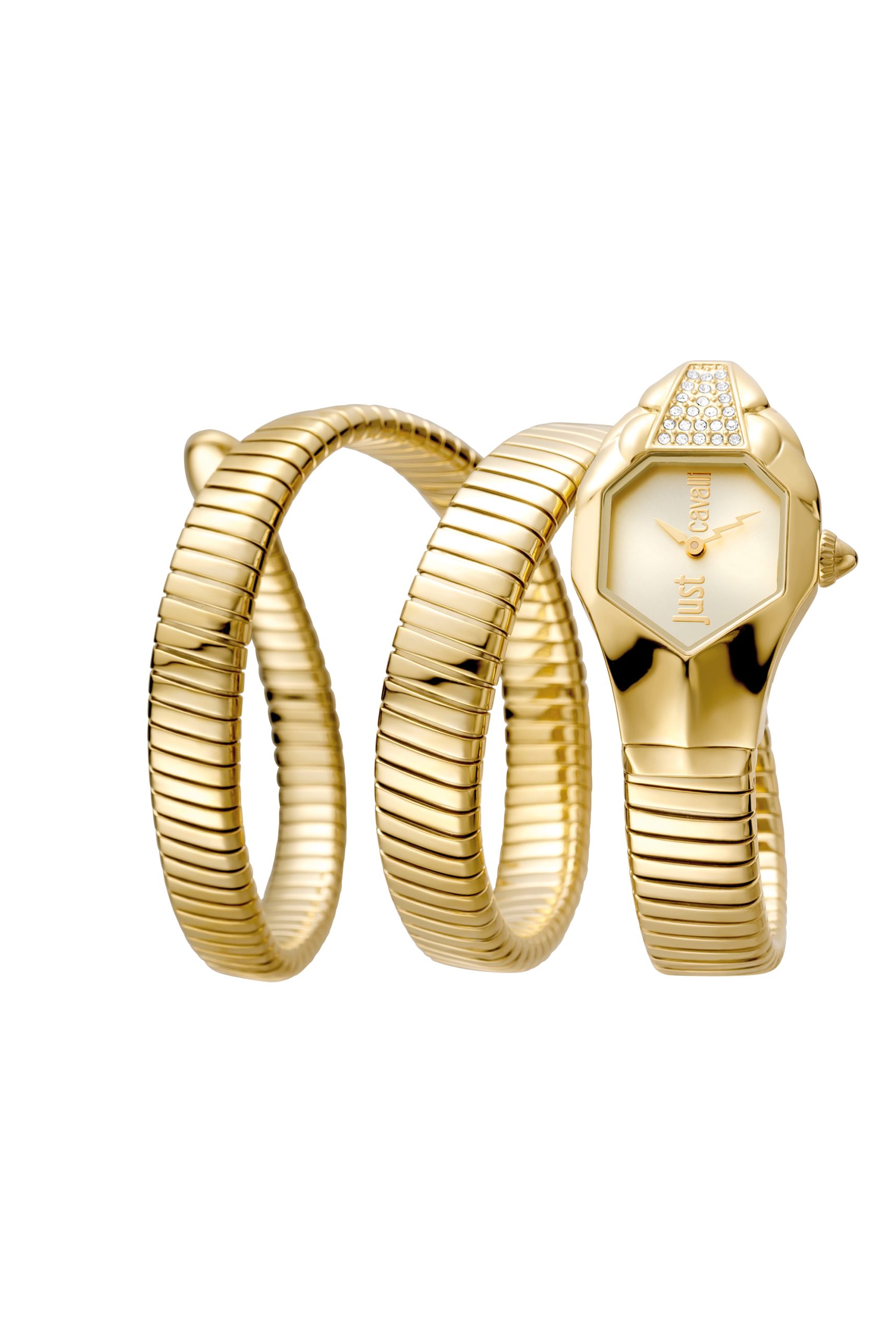 Just Cavalli Watches
