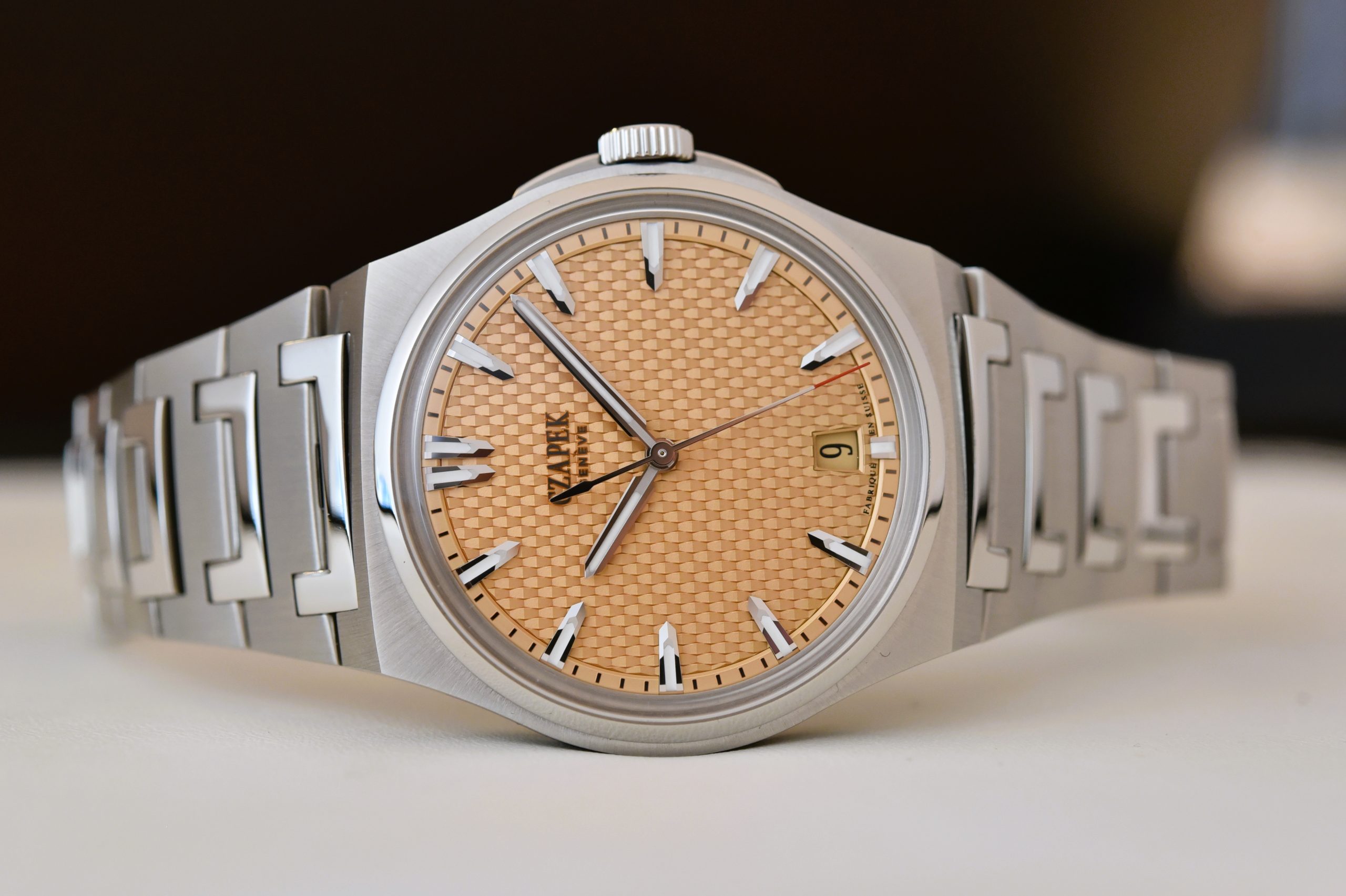 Czapek Antarctique Passage de Drake Salmon.JPG