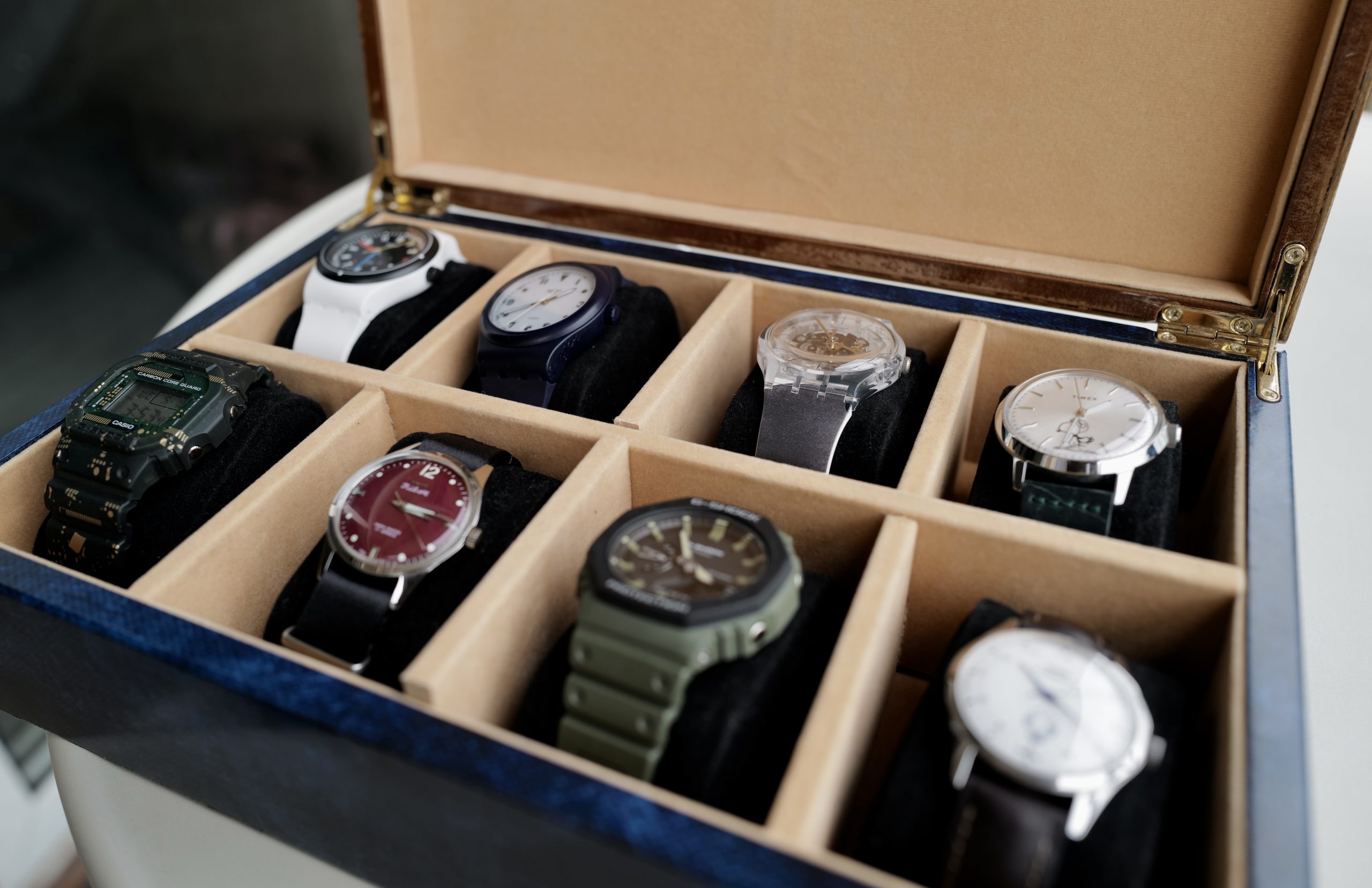 Watch collector India.jpg
