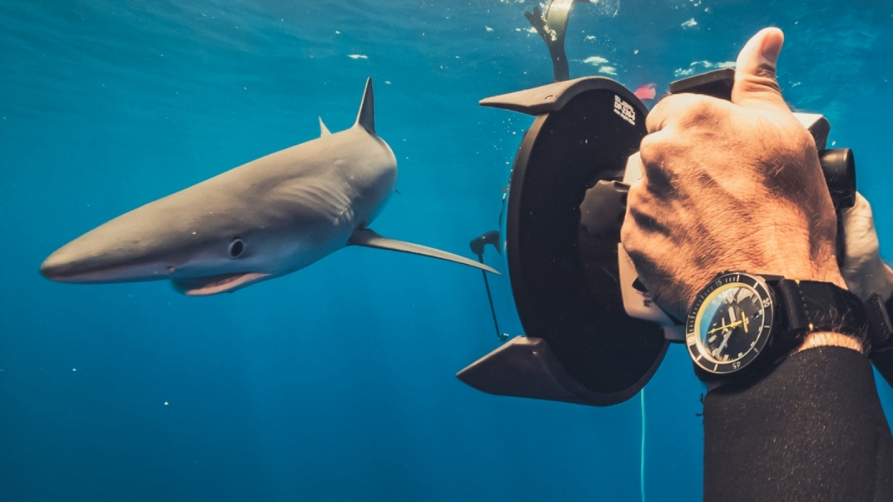 Introducing Ulysse Nardin’s New Diver Lemon Shark