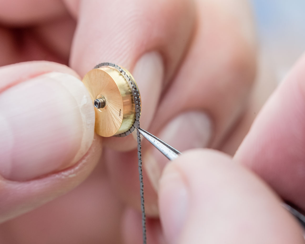 The fusee and chain transmission maintain the accuracy of the watch by making sure that it's constantly driven with the same torque. Watches using this traditional mechanism also carry the “Pour le Mérite” name in additon to the original name. 