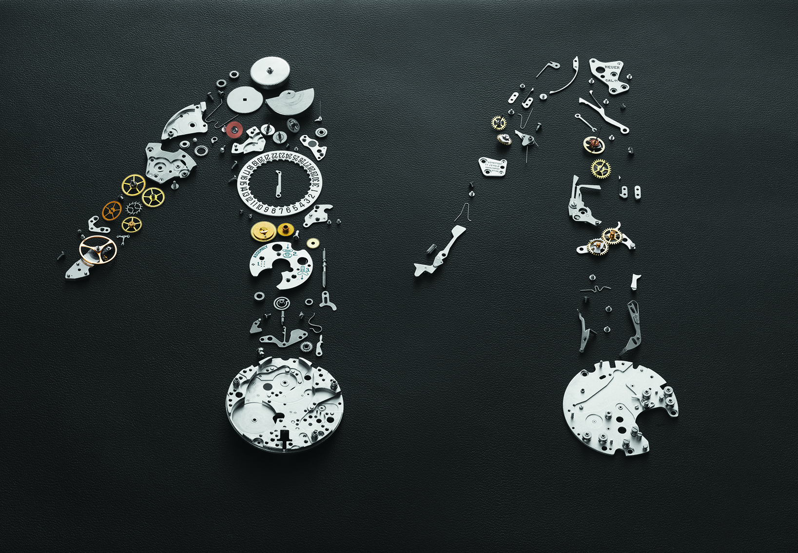 Dissembled 