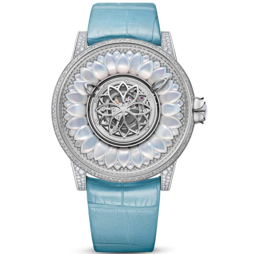 Ladies' Complication