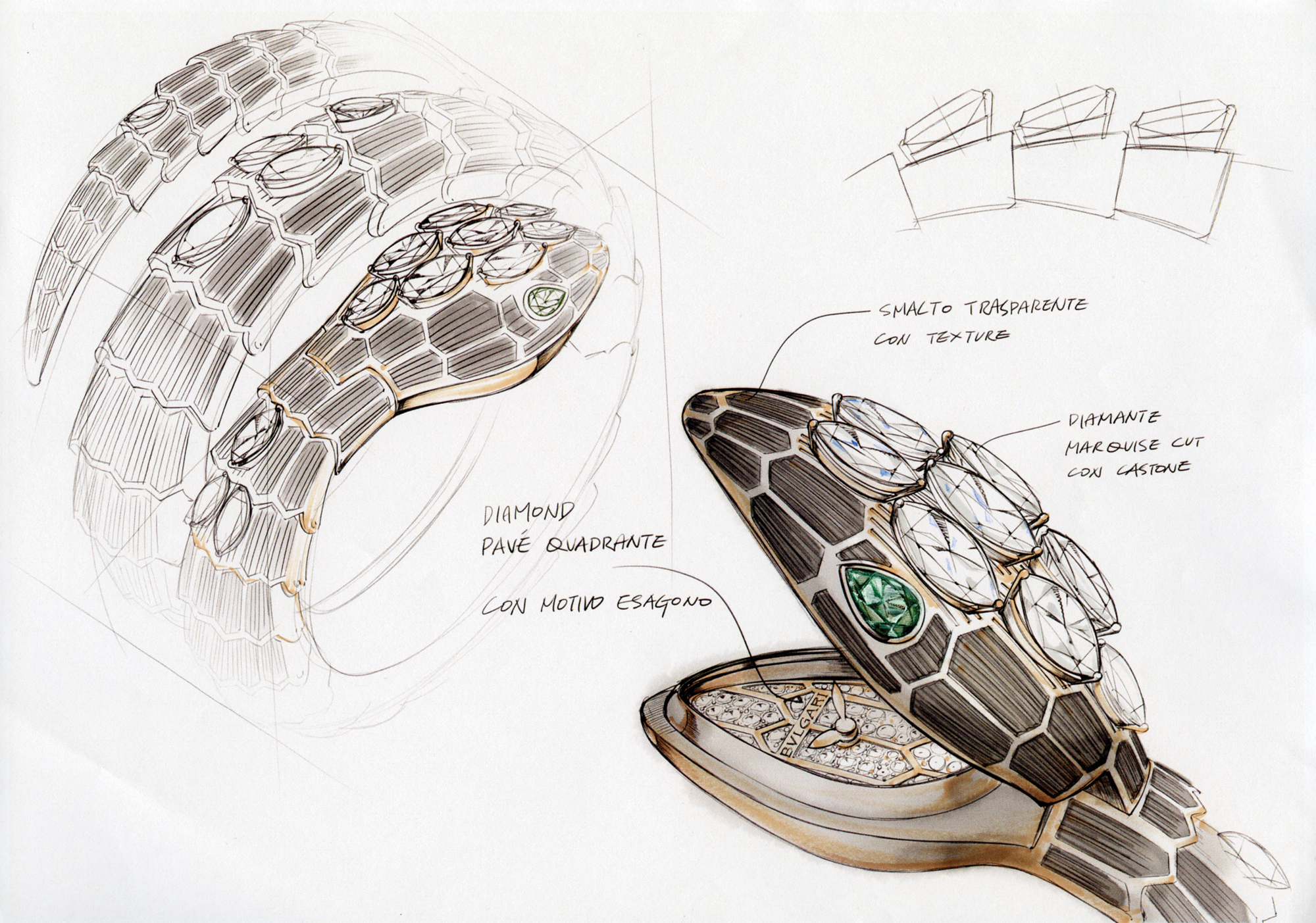 SERPENTI Limited Edition 102526 Sketch