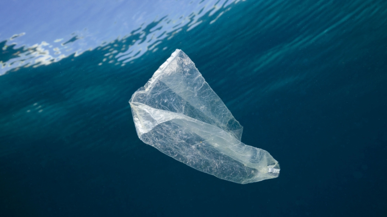 Breitling Collaborates with Ocean Conservancy