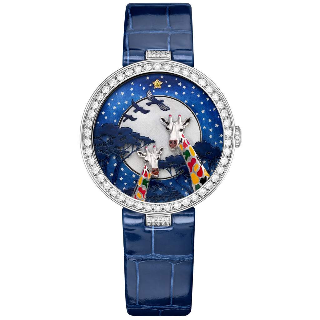 Ladies' Complication