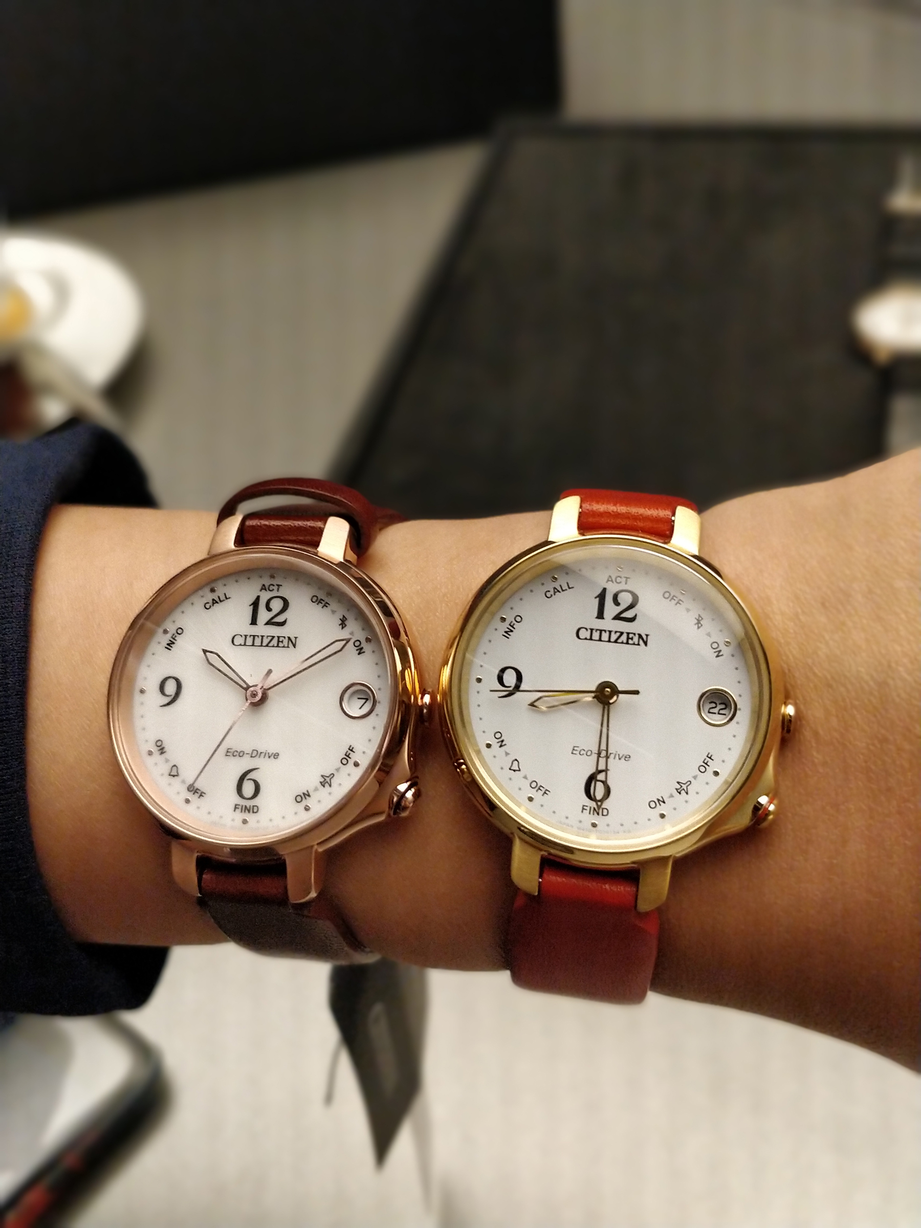 Citizen Eco-Drive Smartwatch for Ladies