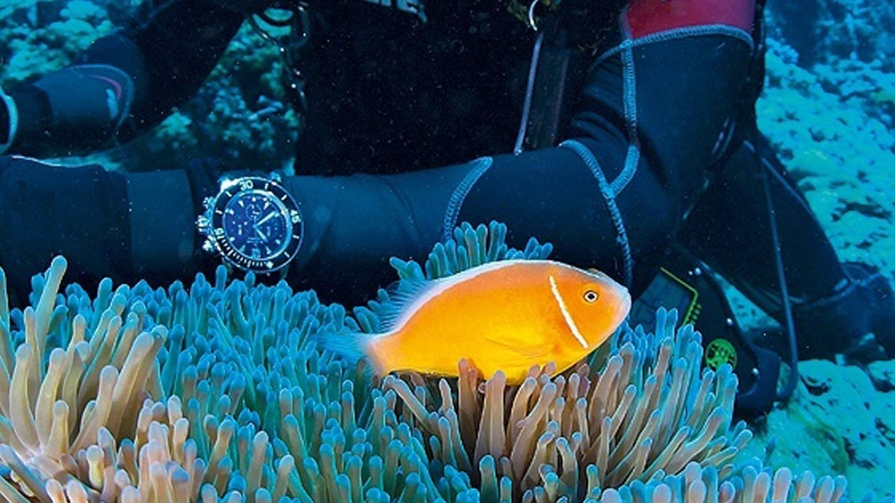 401 on Diving Watches