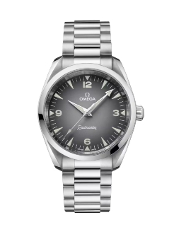 Seamaster Railmaster