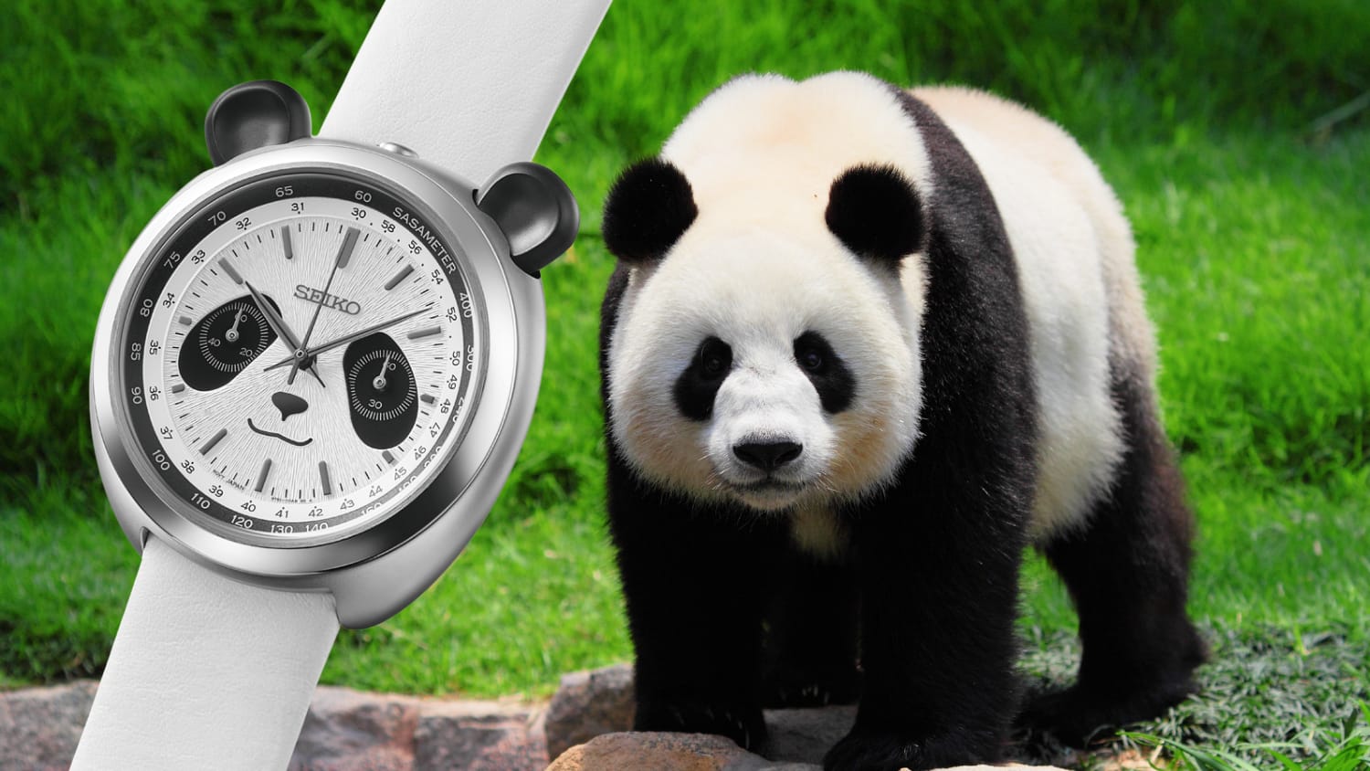 Seiko finally brings the Panda Watch into productions